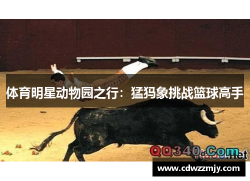 体育明星动物园之行：猛犸象挑战篮球高手